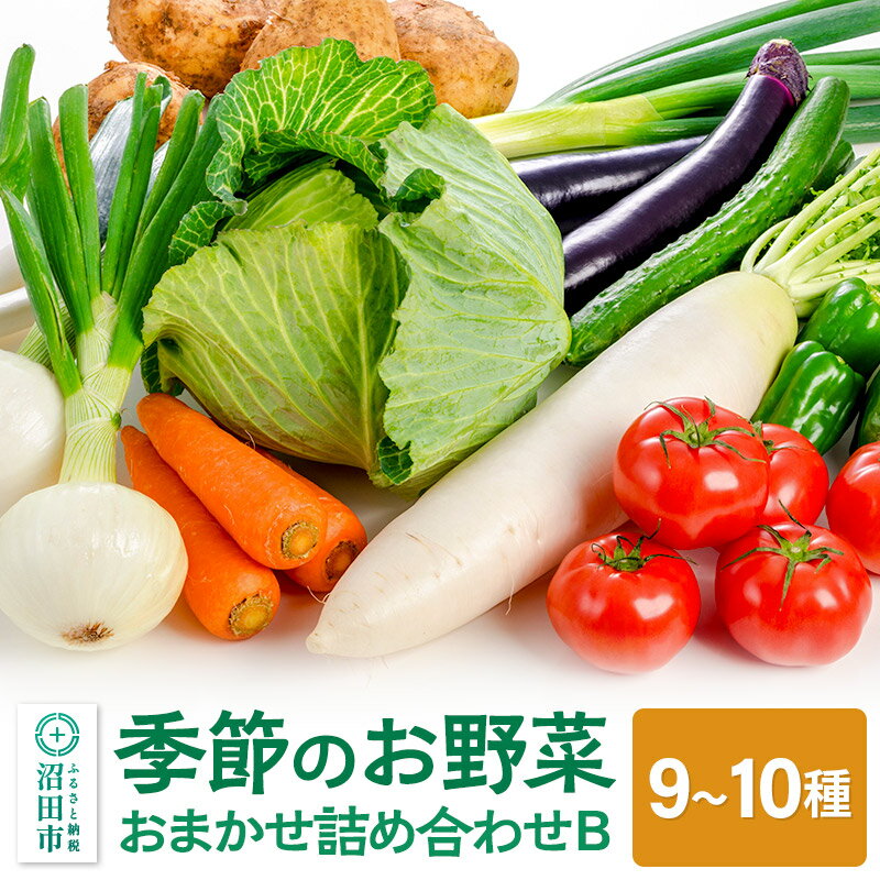 【ふるさと納税】《5月上旬〜11月下旬発送》季節のお野菜 おまかせセット B(9〜10種類)詰め合わせ