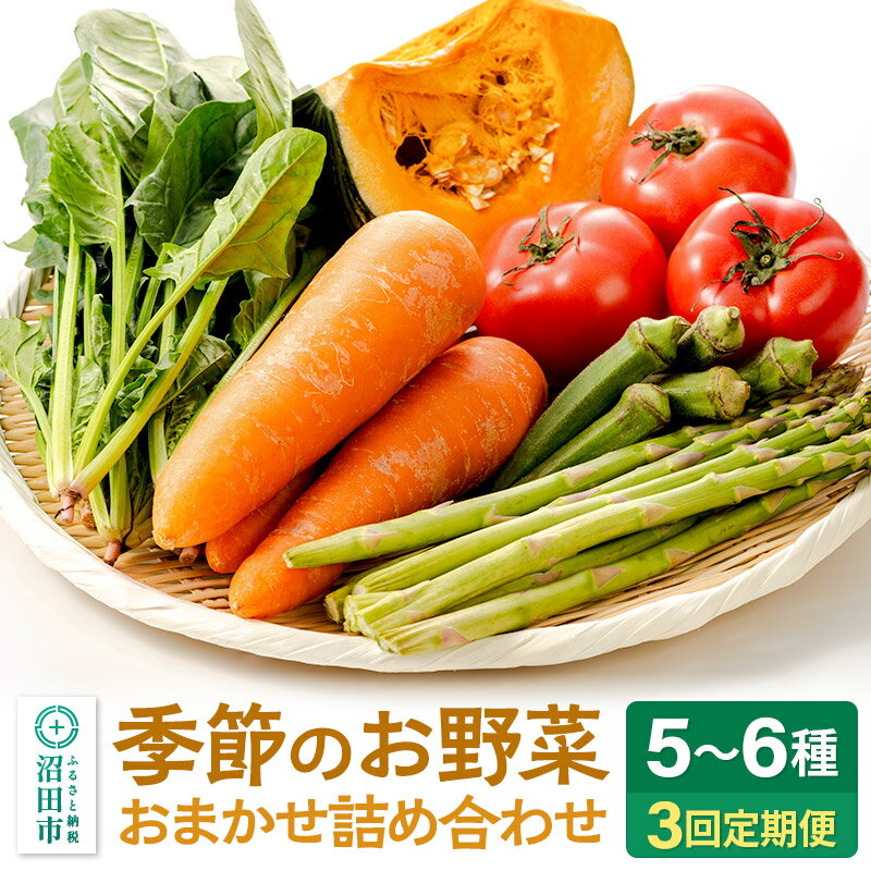 [5月上旬〜11月下旬発送]季節のお野菜 おまかせセット 季節ごとの3回お届け 定期便(1回あたり5〜6種類)詰め合わせ