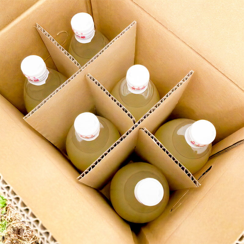 【ふるさと納税】りんご女学校のりんごジュース 1000ml×6本セット