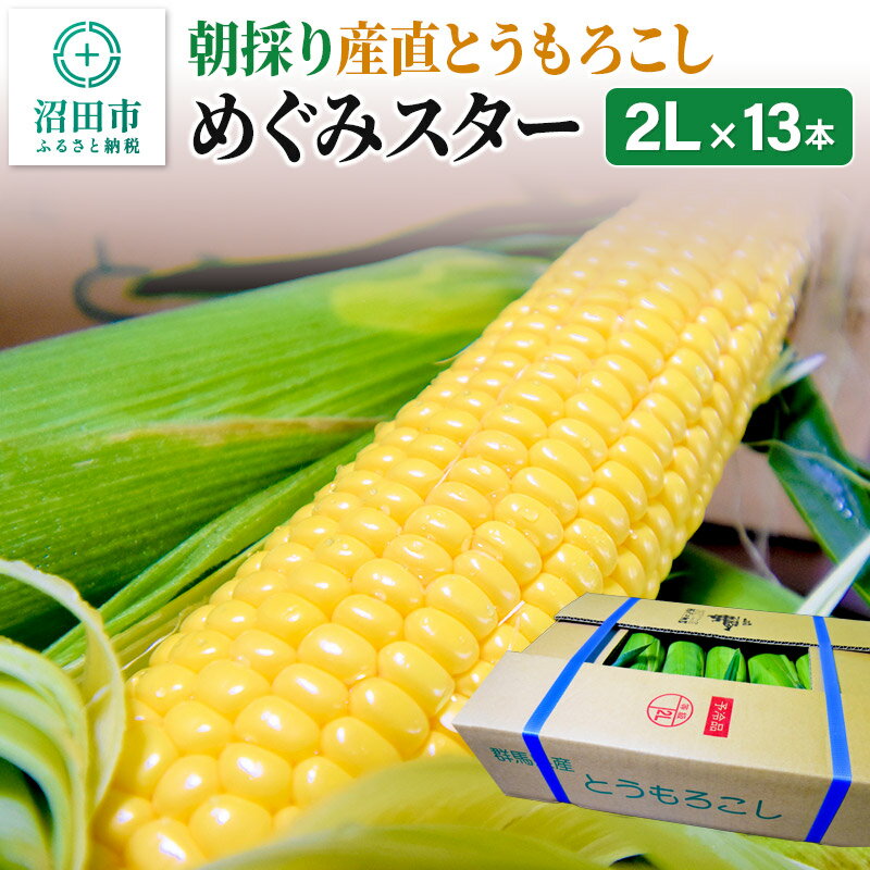 [2024年7月下旬以降発送]朝採りとうもろこし めぐみスター 2Lサイズ13本[群馬県沼田市利根町産]