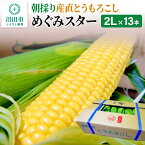 【ふるさと納税】《2024年7月下旬以降発送》朝採りとうもろこし めぐみスター 2Lサイズ13本【群馬県沼田市利根町産】