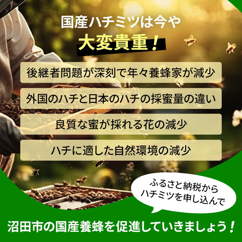 【ふるさと納税】群馬県産アカシアはちみつ 2400g