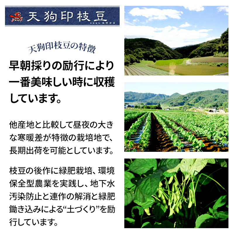 【ふるさと納税】《2024年7月中旬以降発送》厳選 天狗印枝豆「味緑（みりょく）」約2.5kg