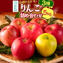 【ふるさと納税】《10月中旬~11月下旬発送》品種おまかせ りんご詰め合わせ 3種 5kg 真田りんご園