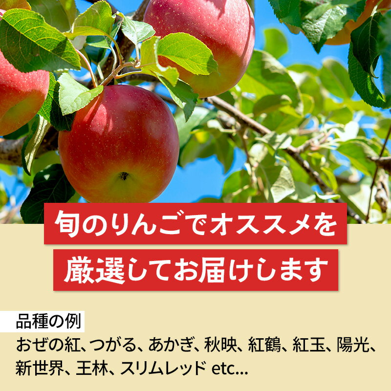 【ふるさと納税】《11月上旬・11月下旬発送》定期便 品種おまかせ りんご詰め合わせ 1種5kg×2回 真田りんご園
