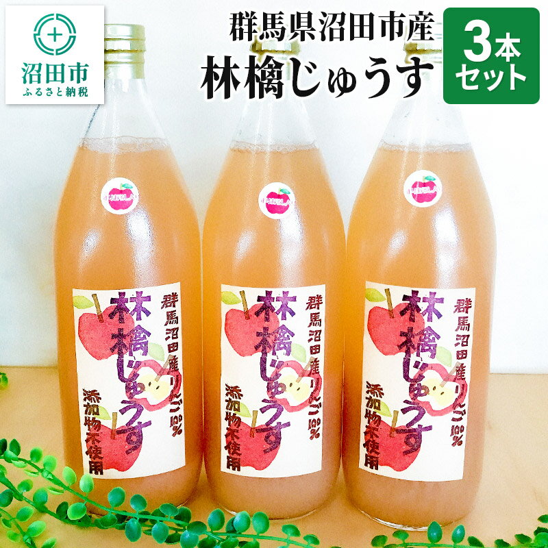 群馬県沼田市産 林檎じゅうす1000ml（リンゴジュース）3本セット