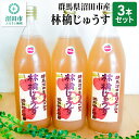 27位! 口コミ数「0件」評価「0」群馬県沼田市産 林檎じゅうす1000ml（リンゴジュース）3本セット