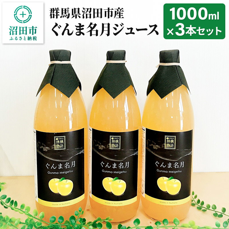 群馬県沼田市産 ぐんま名月ジュース1000ml（リンゴジュース）3本セット