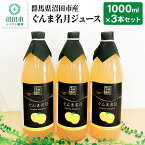 【ふるさと納税】群馬県沼田市産 ぐんま名月ジュース1000ml（リンゴジュース）3本セット