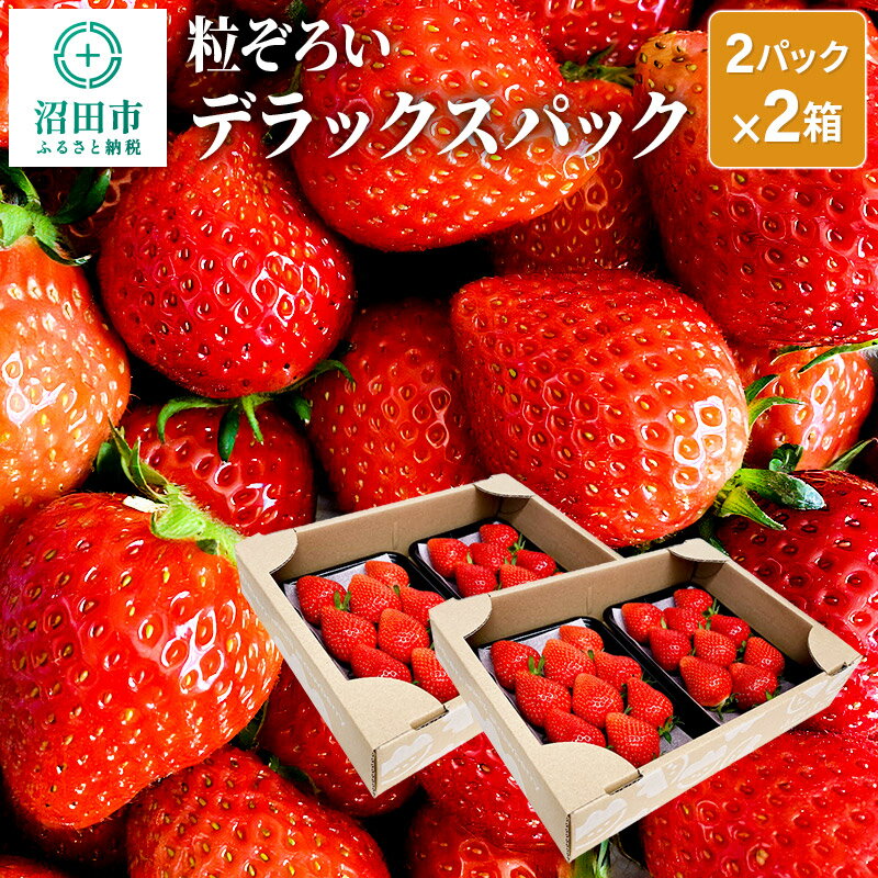 26位! 口コミ数「0件」評価「0」粒ぞろい「やよいひめ」デラックスパック 2パック×2箱 山口いちご園