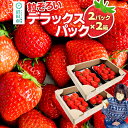 46位! 口コミ数「0件」評価「0」粒ぞろい「やよいひめ」デラックスパック 2パック×2箱