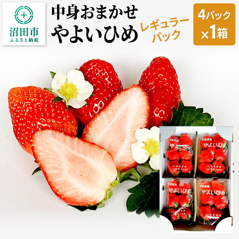 【ふるさと納税】中身おまかせ「やよいひめ」レギュラー 4パック×1箱のサムネイル
