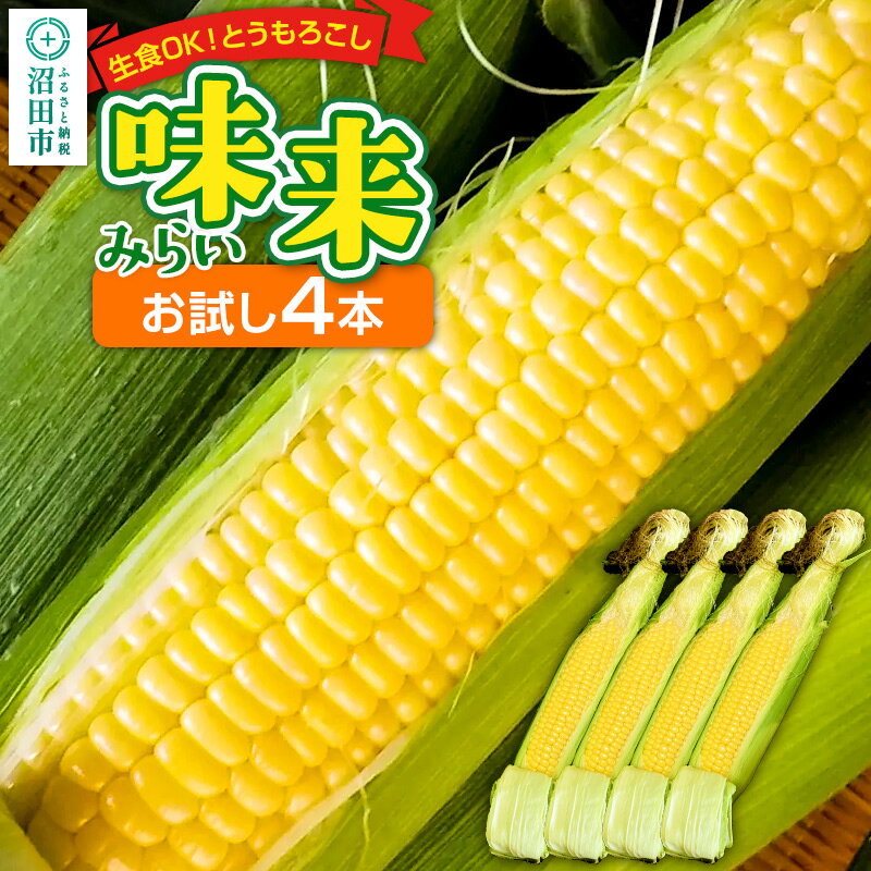 [7月中旬〜9月中旬発送]とうもろこし 味来 お試しセット(4本)