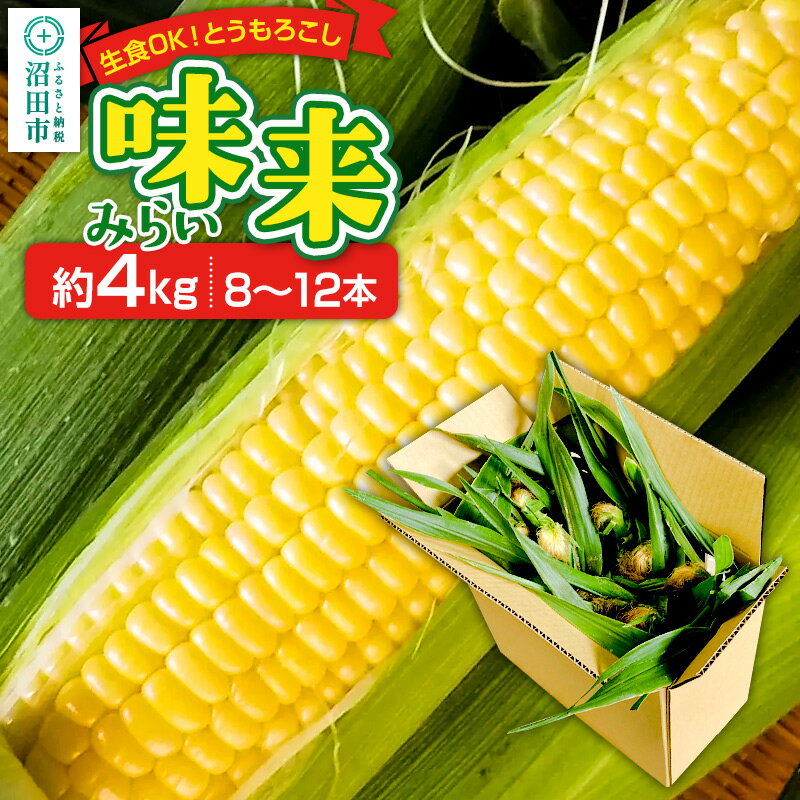 [7月中旬〜9月中旬発送]とうもろこし 味来 約4kg(8〜12本)