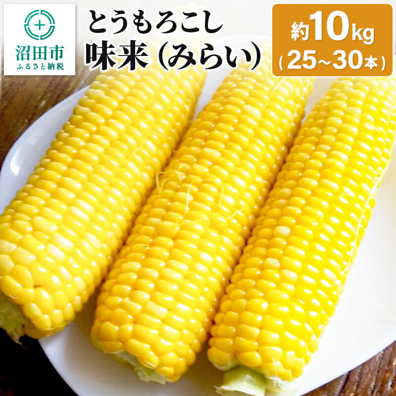 4位! 口コミ数「0件」評価「0」《2024年7月中旬以降発送》とうもろこし 味来 約10kg（25～30本）