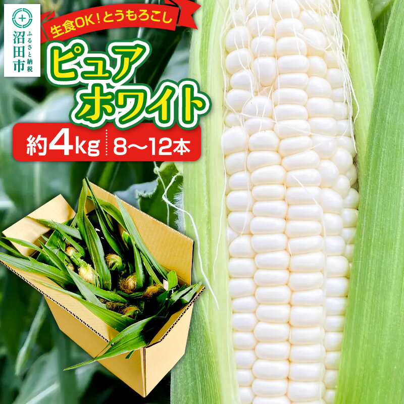 【ふるさと納税】《7月下旬〜9月中旬発送》とうもろこし ピュアホワイト 約4kg（8〜12本）