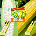 商品画像3