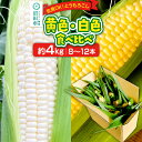 【ふるさと納税】《7月下旬~9月中旬発送》とうもろこし 味来・ピュアホワイト 約4kg(8~12本/おおむね半分ずつ)