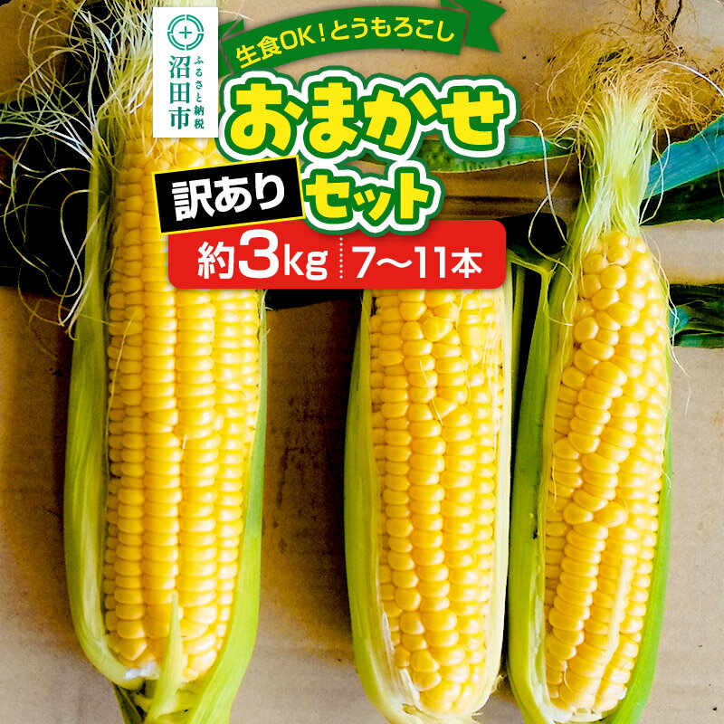 《2024年7月中旬以降発送》【訳あり】とうもろこし おまかせセット約3kg（7～11本／品種の本数おまかせ）