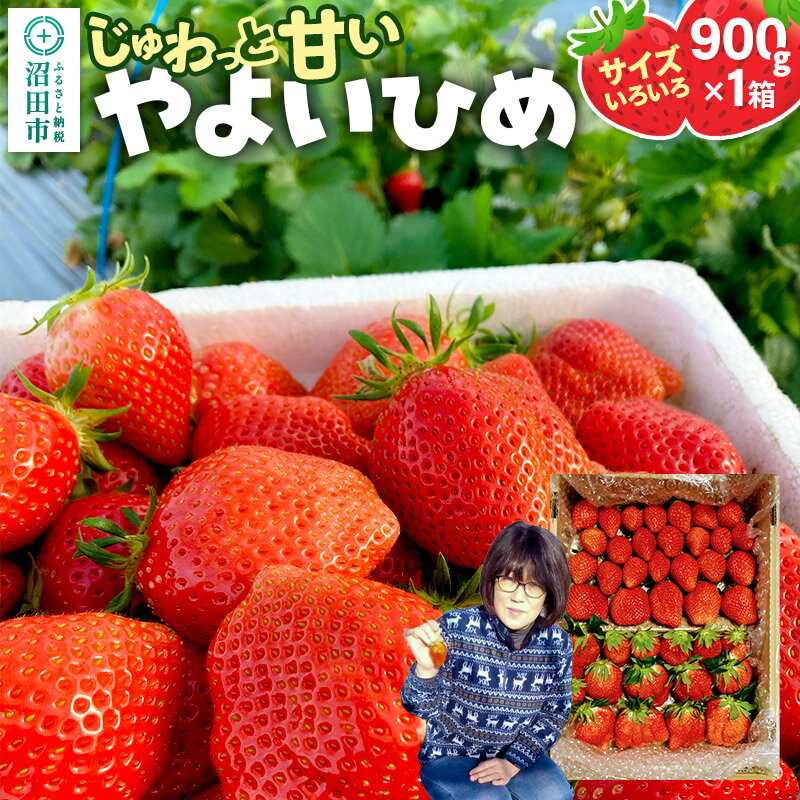 じゅわっと甘い!サイズいろいろ「やよいひめ」約900g(1箱/梱包込)山口いちご園