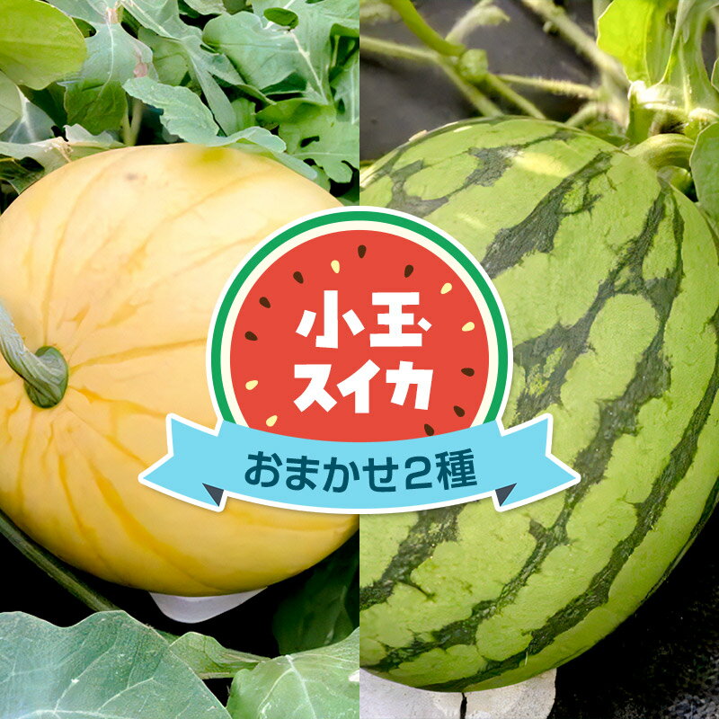 [7月中旬〜9月中旬発送]食べ比べ 小玉スイカ 品種おまかせ2種