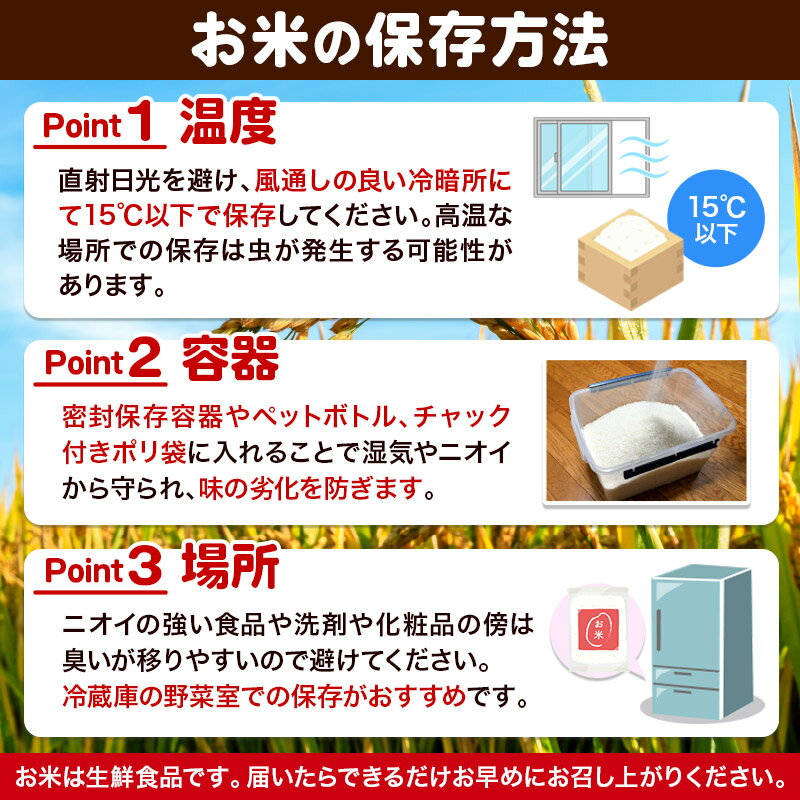【ふるさと納税】《kg数選べる》令和7年産 新米 白米（精米）真田のコシヒカリ小松姫 金井農園