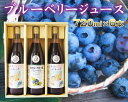 【ふるさと納税】No.041 【6本セット】40%果汁入りブ...
