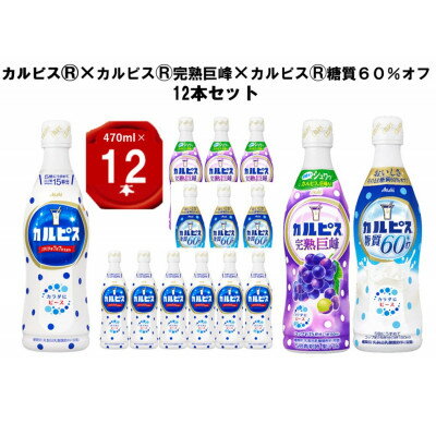 【ふるさと納税】カルピス470ml×カルピス完熟巨峰470ml×カルピス糖質60%オフ470ml　1 ...