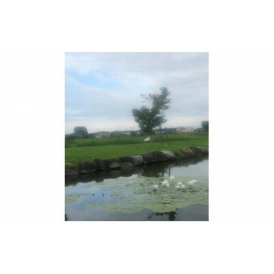 【ふるさと納税】Yoga Studio Cocoro Shantiの里沼de ヨーガセラピー体験チケット【1338959】 3