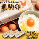 【ふるさと納税】大久保養鶏場の飛駒卵 30個(10個入り×3パック)【配送不可地域:離島】【1485699】