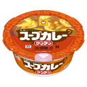 【ふるさと納税】スープカレー ワンタン 12食【1579865】