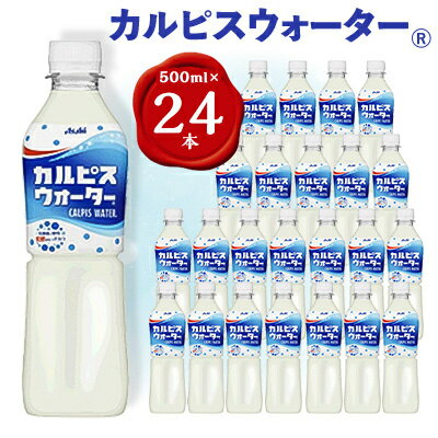 『カルピスウォーター』PET500ml　24本　隔月全6回