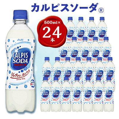 【ふるさと納税】【2ヵ月毎定期便】『カルピスソーダ』PET500ml 24本 隔月全6回【4011135】