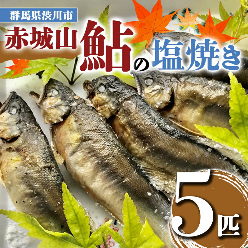 【ふるさと納税】赤城山 鮎の塩焼き 5匹 あゆ アユ 鮎 魚 焼き魚 ふるさと 国産 故郷 納税 群馬 渋川市 F4H-0015のサムネイル