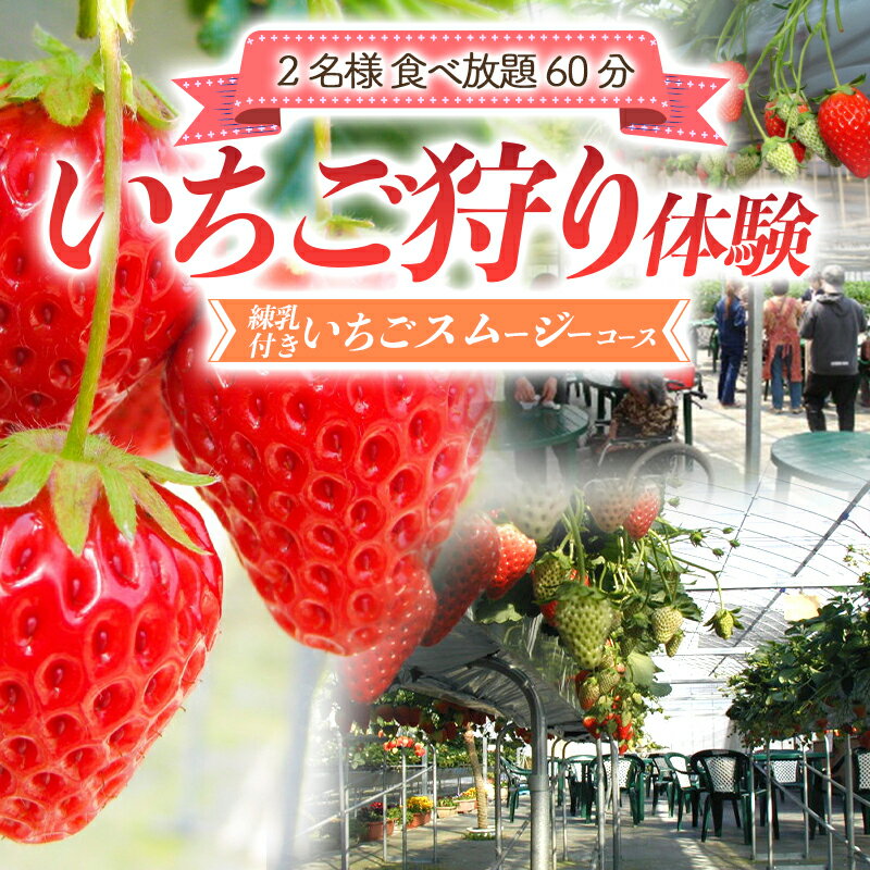 いちご狩り体験2名様 食べ放題1時間 練乳付き いちごスムージーコース 【現地体験型】 利用券 チケット 観光 旅行 イチゴ 苺 ふるさと 故郷 納税 群馬 渋川市 F4H-0033