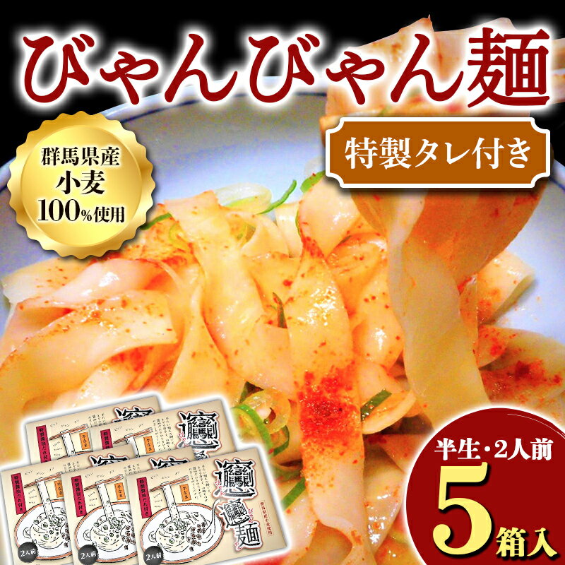 【ふるさと納税】びゃんびゃん麺（半生・2人前）特製タレ付き×5箱入 中国 郷土料理 中華 ビャンビャン麺 麺類 めん ふるさと 故郷 納税 群馬 渋川市 F4H-0051のサムネイル