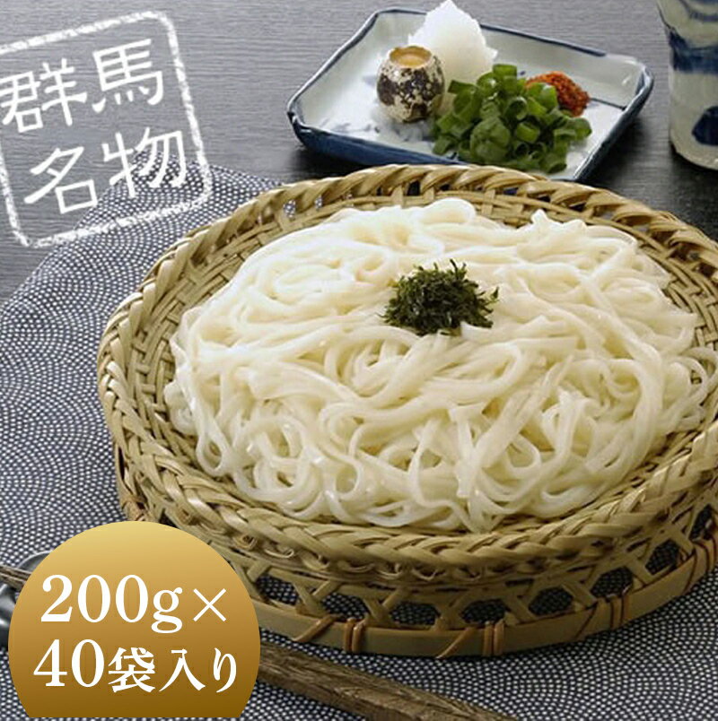 8位! 口コミ数「0件」評価「0」ふる里水沢®うどん200g（2人前）×40袋入り（約80人前） 麺 日本三大うどん 水沢 ふるさと 故郷 納税 群馬 渋川市 F4H･･･ 