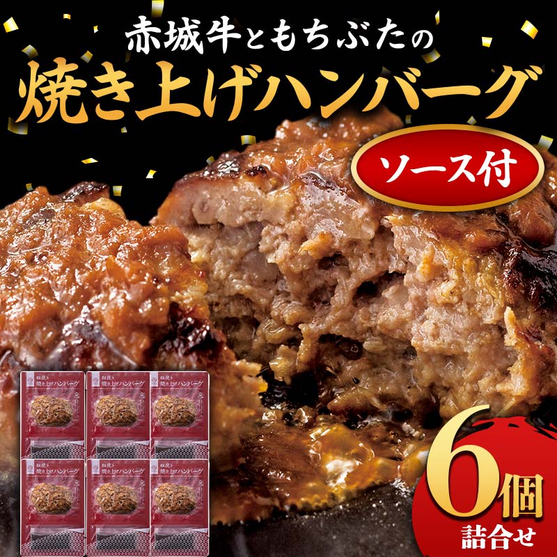 赤城牛ともちぶたの焼き上げハンバーグ 6個詰め合せ(ソース付き) セット レトルト 食品 湯せん 湯煎 一人暮らし ふるさと 故郷 納税 群馬 渋川市