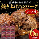 【ふるさと納税】赤城牛ともちぶたの焼き上げハンバーグ 6個詰め合せ ソース付き セット レトルト 食品 湯せん 湯煎 一人暮らし ふるさと 故郷 納税 群馬 渋川市 F4H-0061