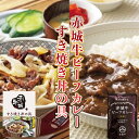 【ふるさと納税】赤城牛ビーフカレーとすき焼き丼の具詰合せ 赤城牛 カレー レトルト 食品 セット 一人暮らし ふるさと 故郷 納税 群馬 渋川市 F4H-0064