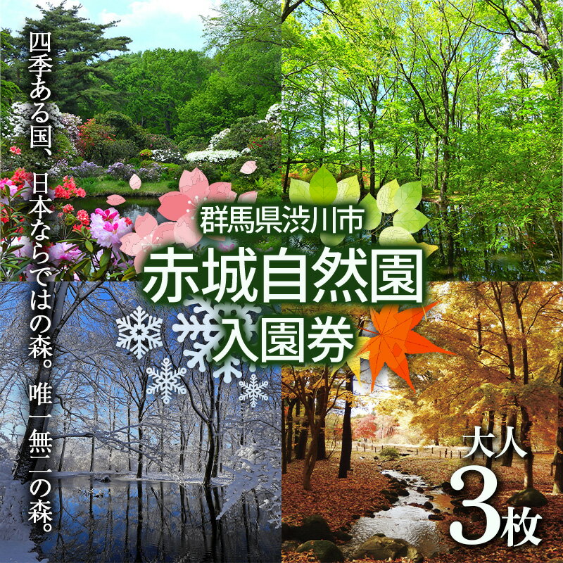 赤城自然園 入園券 チケット 入場券 自然観察園 ふるさと 故郷 納税 群馬 渋川市