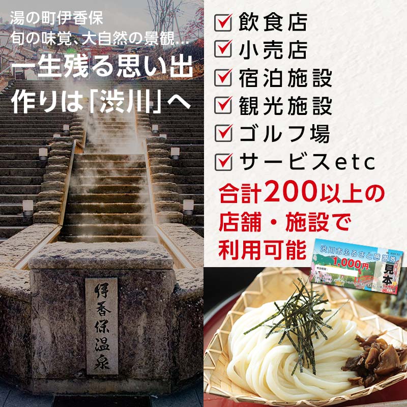 【ふるさと納税】渋川市ふるさと感謝券 43,000円分（1000円×43枚） 伊香保温泉 うどん 宿泊 旅行 観光 ホテル 旅館 トラベル 飲食 お土産 F4H-0559