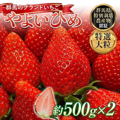 楽天ふるさと納税　【ふるさと納税】 特選大粒 ブランドいちご「やよいひめ」朝摘みでお届け！1kg（500g×2） イチゴ 苺 果物 フルーツ くだもの デザート ケーキ作り 群馬県 渋川市 F4H-0159