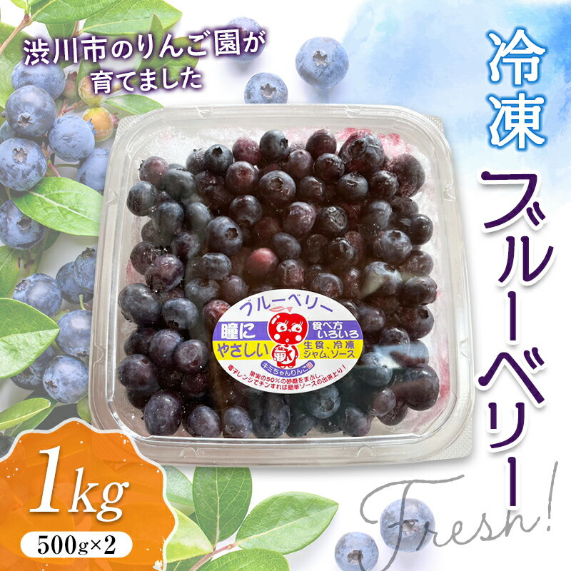 【ふるさと納税】フレッシュな冷凍ブルーベリー1kg（500g×2） フルーツ 果物 果実 群馬県 渋川市 F4H-0173のサムネイル