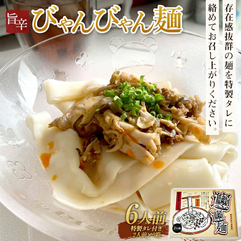 【ふるさと納税】特製タレ付き半生麺使用 旨辛「びゃんびゃん麺」6人前 中国 郷土料理 中華 ビャンビャン麺 麺類 めん ふるさと 故郷 納税 群馬 渋川市 F4H-0197のサムネイル