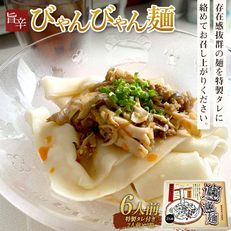 特製タレ付き半生麺使用 旨辛「びゃんびゃん麺」6人前 中国 郷土料理 中華 ビャンビャン麺 麺類 めん ふるさと 故郷 納税 群馬 渋川市