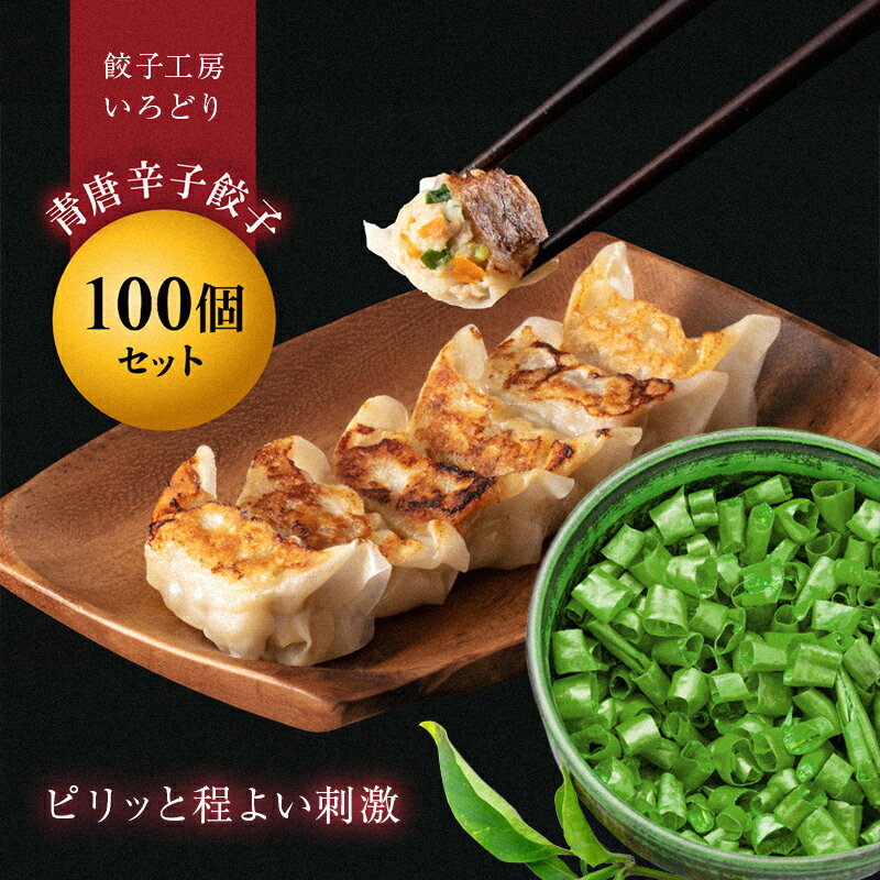【ふるさと納税】青唐辛子餃子100個セット 冷凍 焼餃子 水餃子 中華 ぎょうざ ギョーザ お弁当 おかず F4H-0223