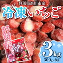 【ふるさと納税】群馬県渋川市産 冷凍いちご 3kg いちご 