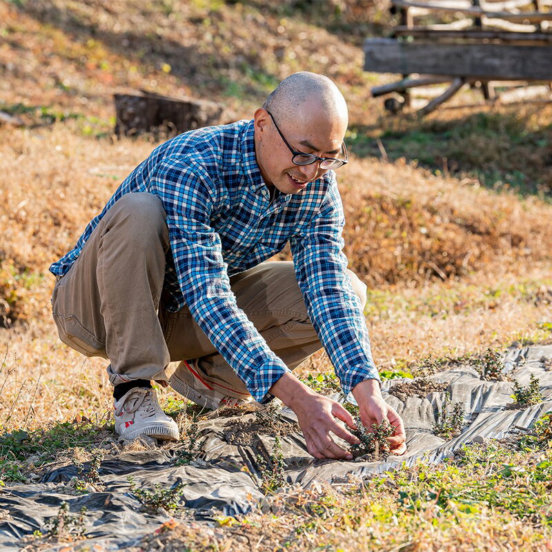 【ふるさと納税】渋川市産ハーブ配合 森の香オーガニックソープセット F4H-0285