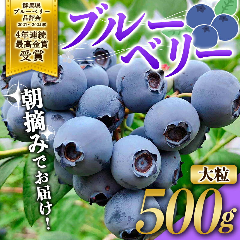 【ふるさと納税】 ブルーベリー大粒500g 朝摘みでお届け!【4年連続最高金賞受賞 群馬県ブルーベリー品評会2021~2024年】 大粒 化学農薬不使用 除草剤不使用 フルーツ 果物 F4H-0409